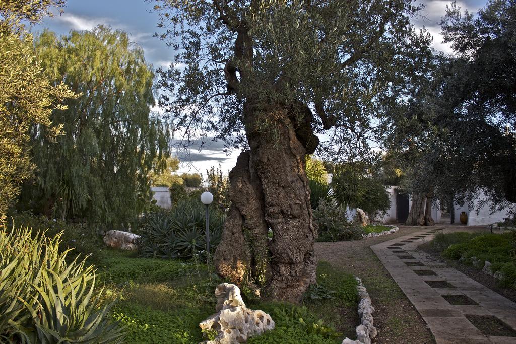 Masseria Vagone Macchia di Monte Luaran gambar